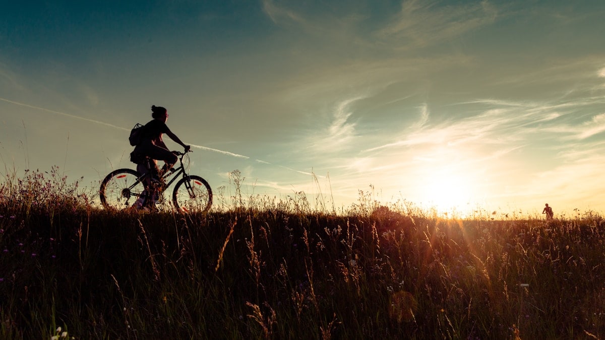 a person riding a bike in a field at sunset